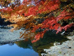 �y�G�[�XJTB�E�������s�z��ʃc�A�[�E��ʂ̗��فE�z�e���\��@